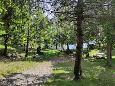 Area picnic