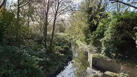 Photo de Low Hall Nature Reserve