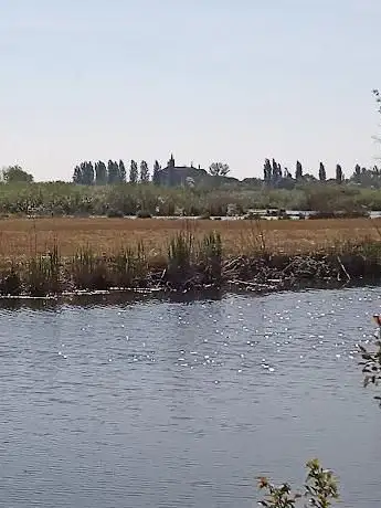 Photo de Riserva naturale Valli del Mincio