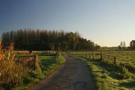 Speelbos Groene Broek