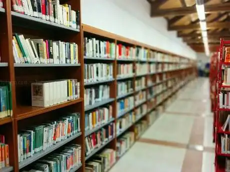 Photo de Polo Librarian Feltrino