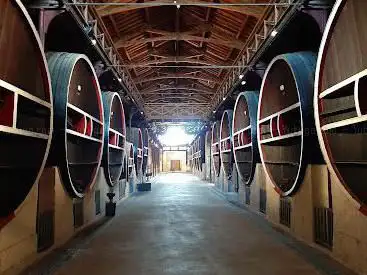 Photo de Cave du Château de Colombiers