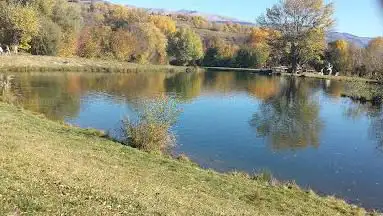 Parc i Barbacoes de Sallagosa