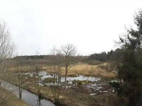 Uitkijktoren Asselbergen - De Wamp
