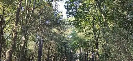 Photo de Servicios/Baños Arkalanda
