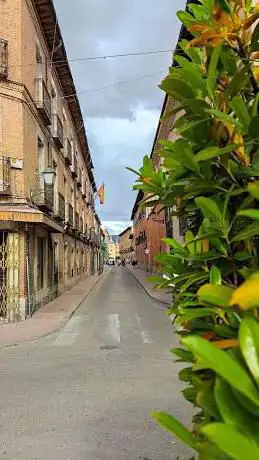 Photo de Museo Pintura Toro Bravo