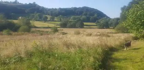 Mid Wales Wildlife Sanctuary