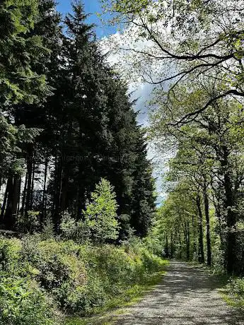Bettridge Cove