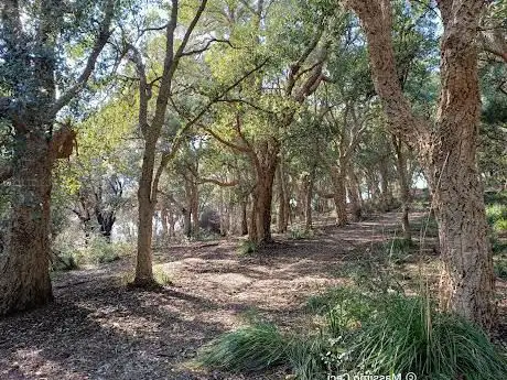 Photo de Sughereta di Sirividola