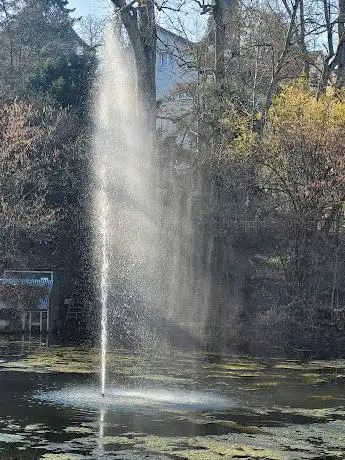 Mühleggweiher