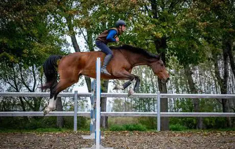 Liberty Stables