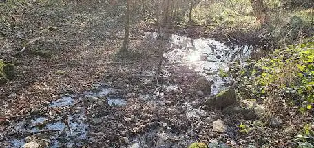 Source de cote chaude