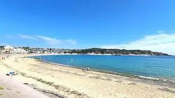 Beach Center