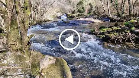 Ãrea recreativa de RÃ­o de Albariña