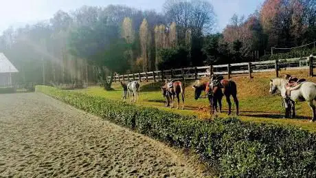 Maneggio Mimosa Horse Ranch