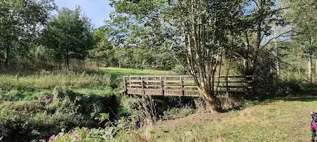 Honeypot Wood