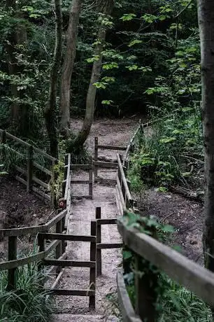 Photo de Manor Farm Country Park - Fenced Dog Walking area