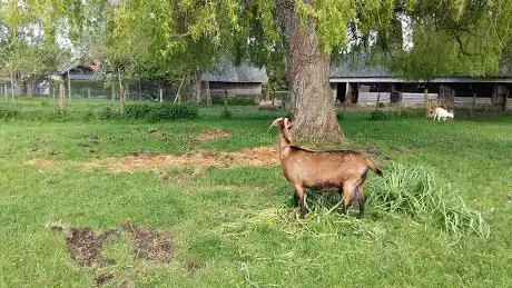 La Ferme Européenne Des Enfants