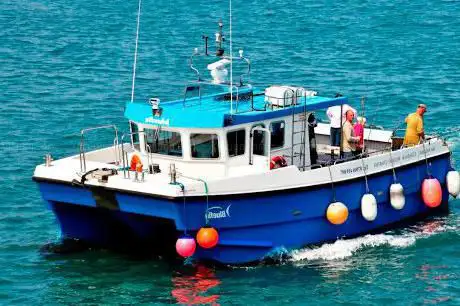 Bluefin Charter Fishing Trips