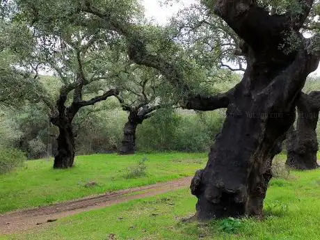 Photo de Paraje Doce Apostoles