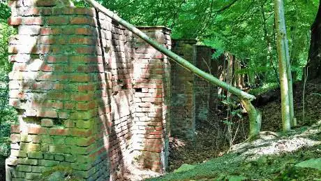 Linterter Busch