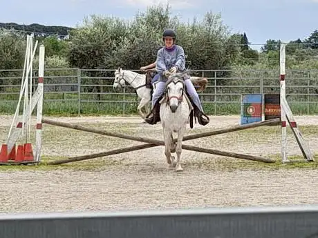 Photo de Accademia di equitazione La Manada