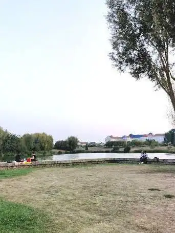 Etang des Colverts