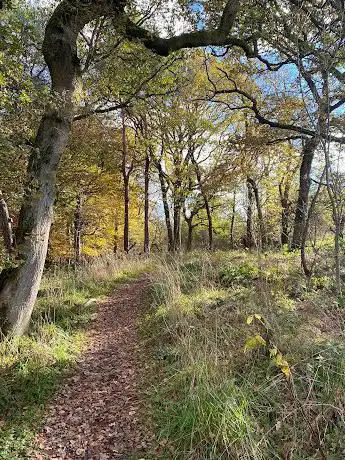 Photo de Gartcosh Local Nature Reserve