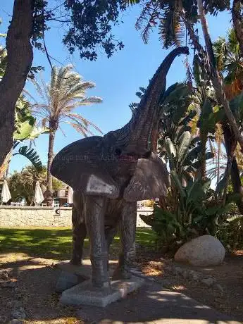 Photo de Estatua Elefante
