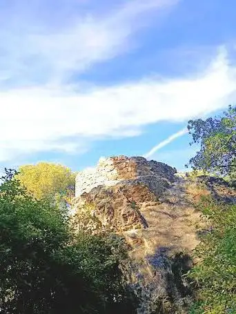 Courbebaisse Woods