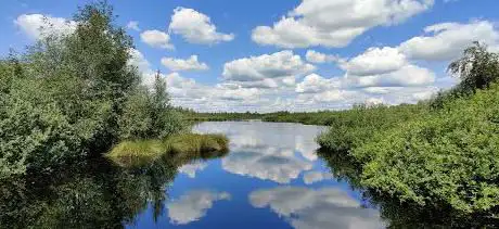 Photo de Nationaal Park Groote Peel
