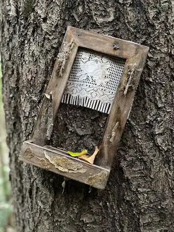 Photo de Il Bosco Magico