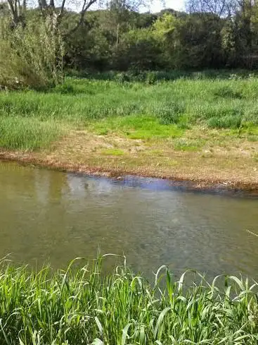 Pont de la 1ère DFL
