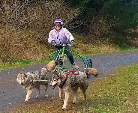 Photo de Mynydd Sleddog Adventures
