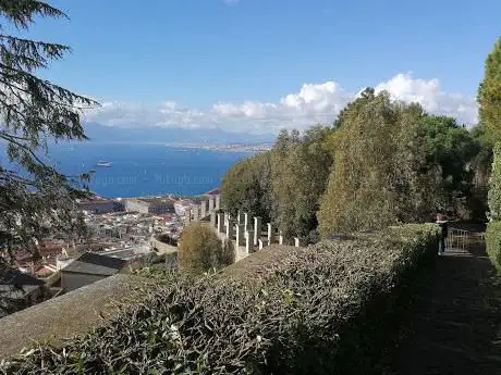 Photo de Gardens of St Martin's Museum