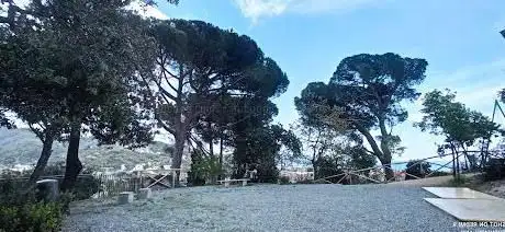 Parco comunale Zambellini