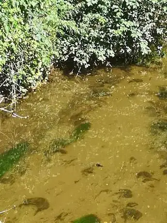 Scalinata verso il fiume Olona