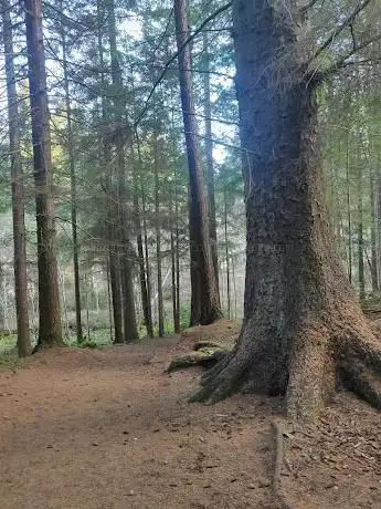 Photo de Culloden woods walk