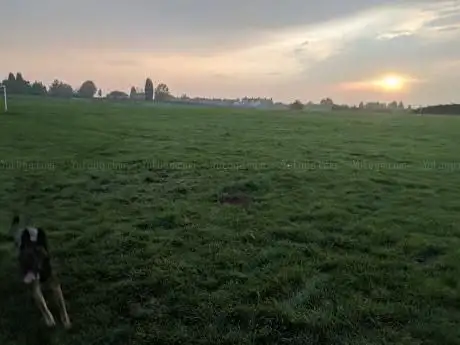 Photo de Marston Lane Football Field