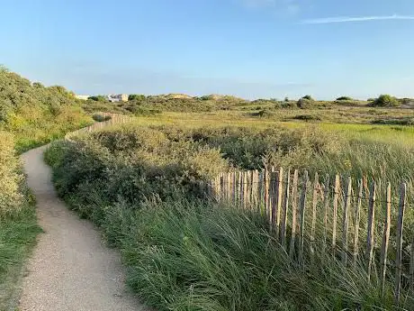 Sint-Laureinsduinen
