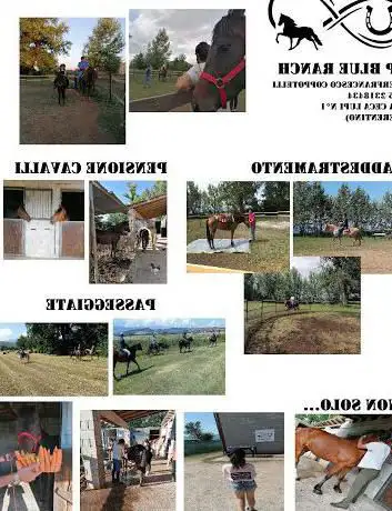 Photo de P Blue Ranch