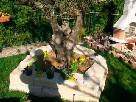 Basic Garten