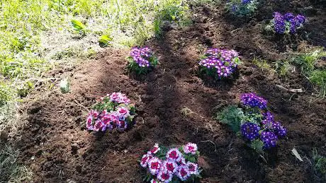Photo de Giardino della Vita