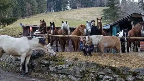 Photo de Ecurie de la Rosseneyre
