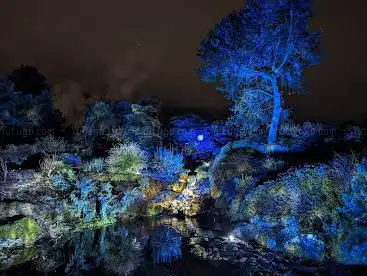 Photo de At the Botanics