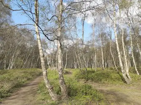 'T vlietbos