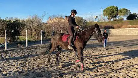 Photo de HÃÂpica Cal Dandy