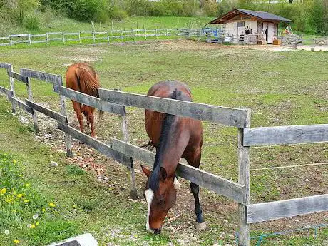 Photo de Campo sportivo Facen