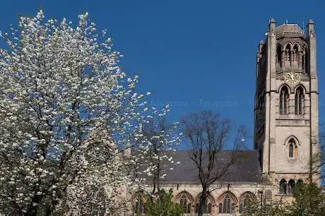 Photo de All Saints' Church Notting Hill