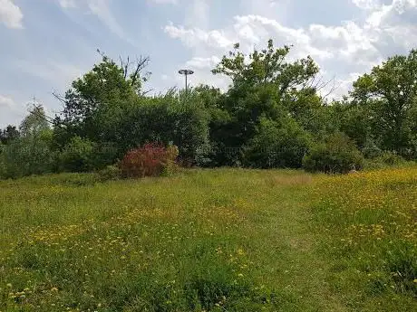 Photo de Parc Saint-Ruth